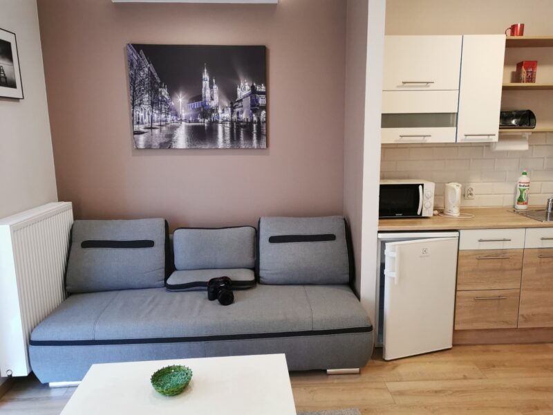 T1 Porto - Campo Alegre 250€/Mês